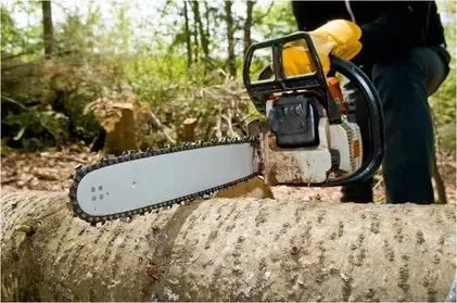 About Top Tree Service Newark